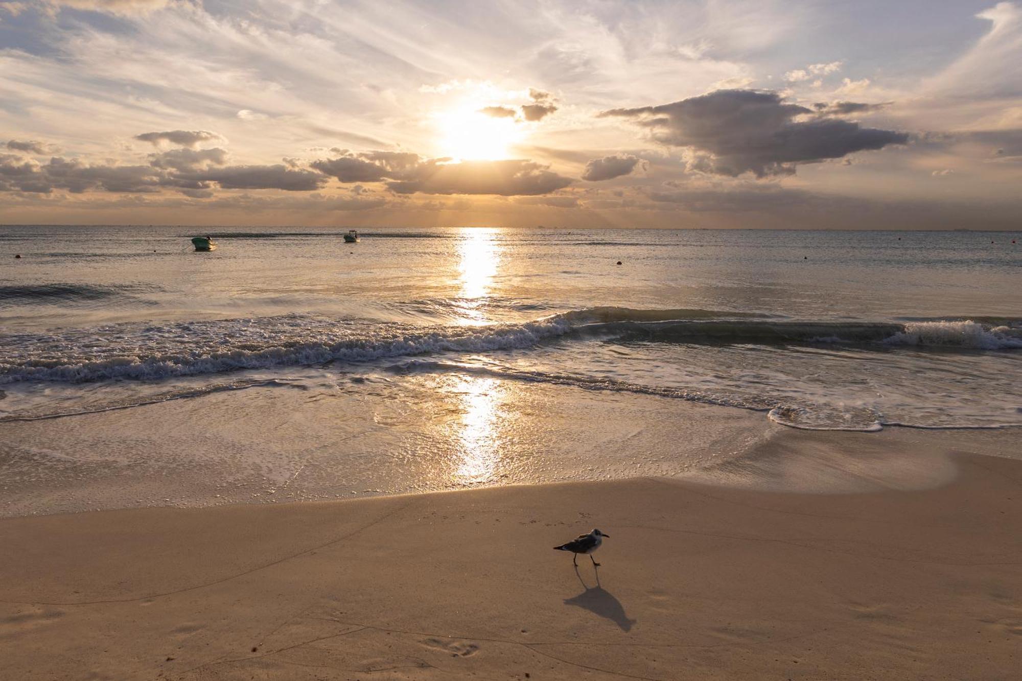 Areia Playa Del Carmen - Beach Front Hotel Экстерьер фото